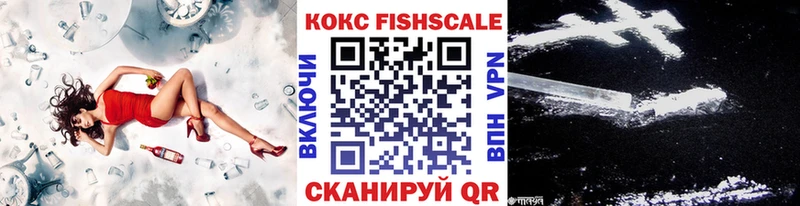 Cocaine FishScale  kraken как войти  Сегежа  сколько стоит 