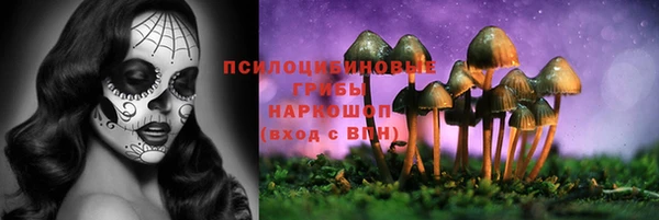ECSTASY Армянск