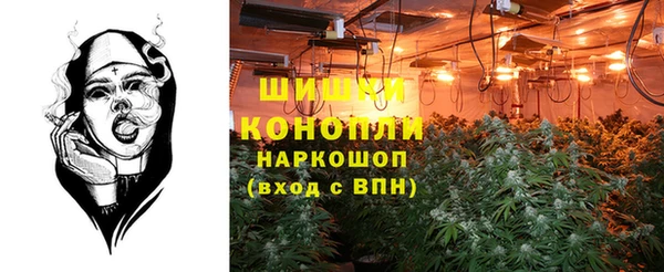 ECSTASY Армянск