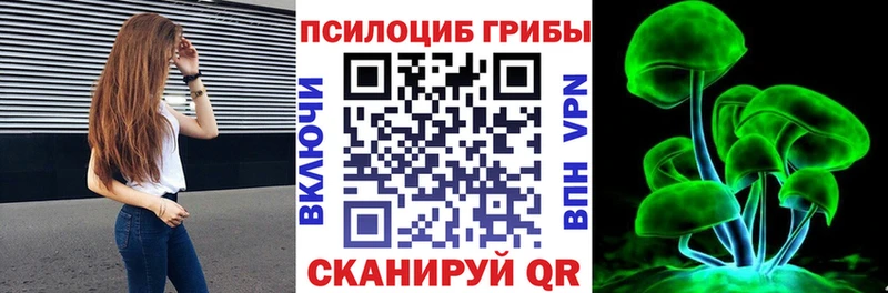 купить наркоту  Сегежа  Галлюциногенные грибы Magic Shrooms 
